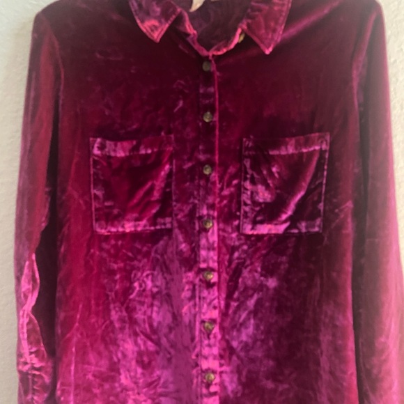 Anthropologie Pilcro Hadley Relaxed Pink Velvet Button Down Boho Shirt Sz 2 - Picture 5 of 14